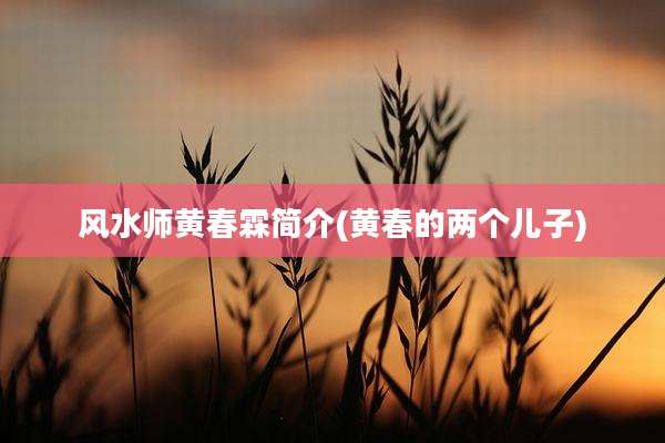 风水师黄春霖简介(黄春的两个儿子)
