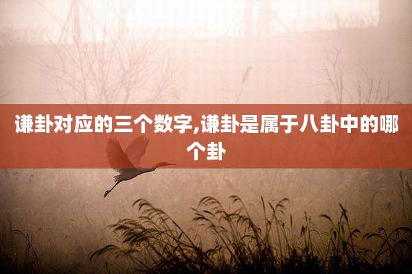 谦卦对应的三个数字,谦卦是属于八卦中的哪个卦