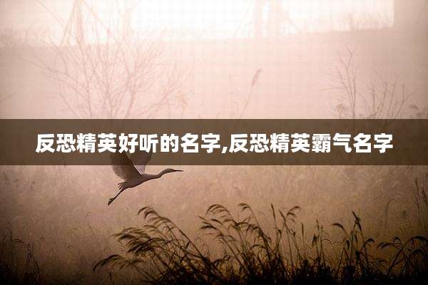 反恐精英好听的名字,反恐精英霸气名字