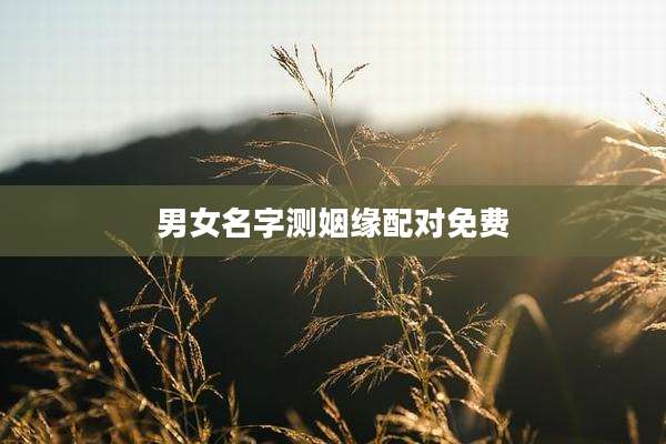 男女名字测姻缘配对免费