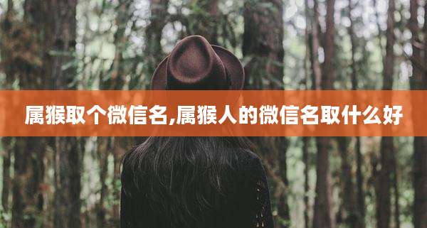属猴取个微信名,属猴人的微信名取什么好