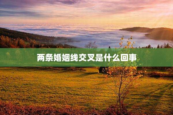 两条婚姻线交叉是什么回事