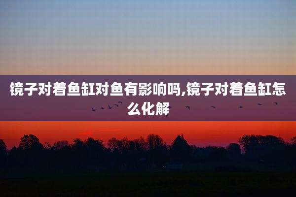 镜子对着鱼缸对鱼有影响吗,镜子对着鱼缸怎么化解