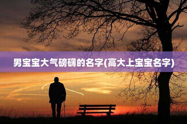 男宝宝大气磅礴的名字(高大上宝宝名字)