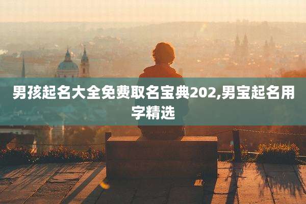 男孩起名大全免费取名宝典202,男宝起名用字精选