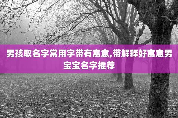 男孩取名字常用字带有寓意,带解释好寓意男宝宝名字推荐