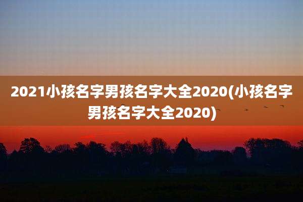2021小孩名字男孩名字大全2020(小孩名字男孩名字大全2020)