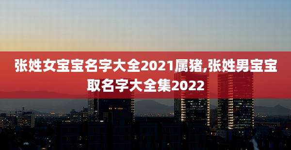 张姓女宝宝名字大全2021属猪,张姓男宝宝取名字大全集2022