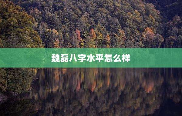 魏磊八字水平怎么样