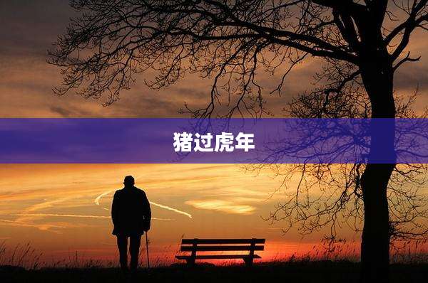猪过虎年