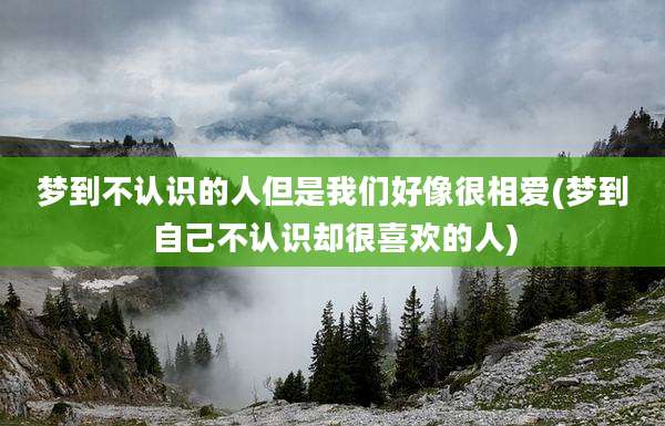 梦到不认识的人但是我们好像很相爱(梦到自己不认识却很喜欢的人)