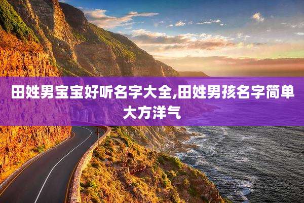 田姓男宝宝好听名字大全,田姓男孩名字简单大方洋气