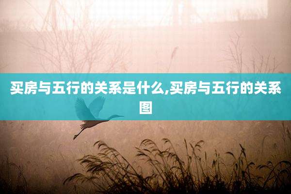 买房与五行的关系是什么,买房与五行的关系图