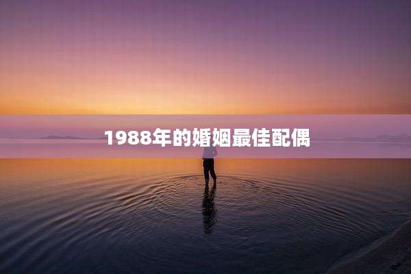 1988年的婚姻最佳配偶