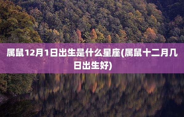 属鼠12月1日出生是什么星座(属鼠十二月几日出生好)