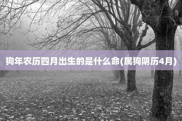 狗年农历四月出生的是什么命(属狗阴历4月)