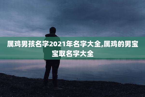 属鸡男孩名字2021年名字大全,属鸡的男宝宝取名字大全