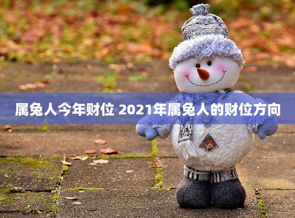 属兔人今年财位 2021年属兔人的财位方向