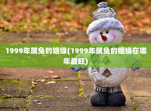 1999年属兔的姻缘(1999年属兔的姻缘在哪年最旺)