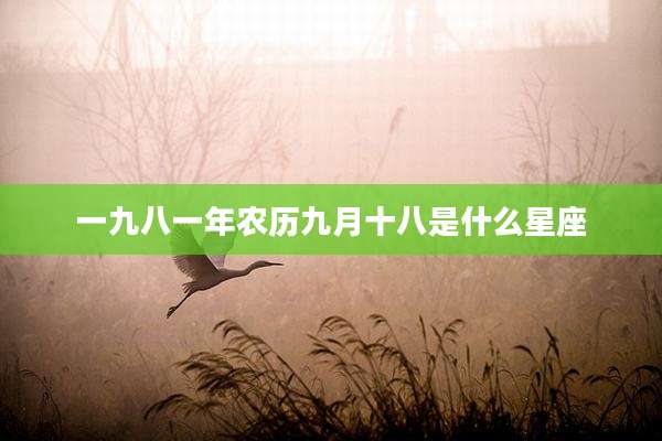 一九八一年农历九月十八是什么星座