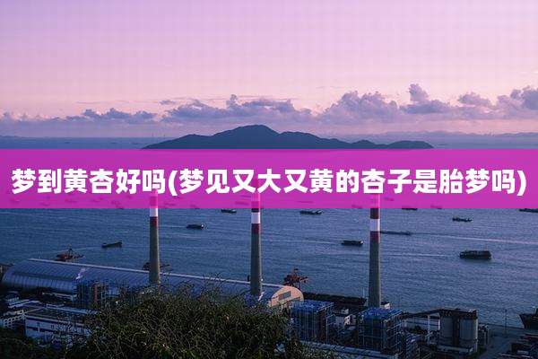梦到黄杏好吗(梦见又大又黄的杏子是胎梦吗)