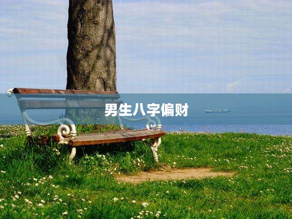 男生八字偏财