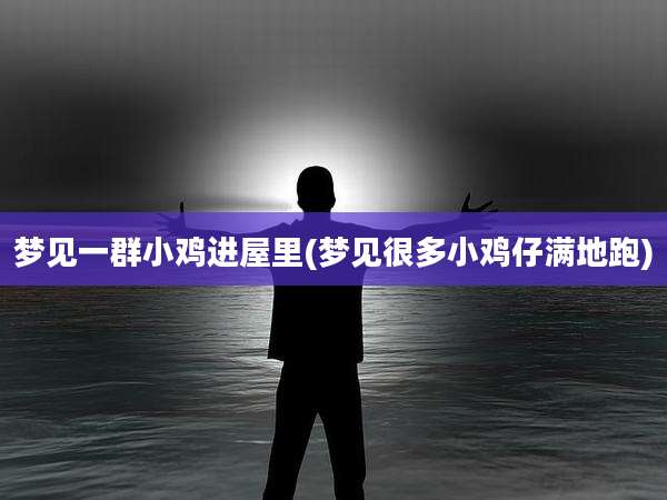 梦见一群小鸡进屋里(梦见很多小鸡仔满地跑)