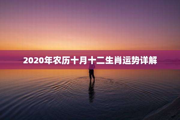 2020年农历十月十二生肖运势详解