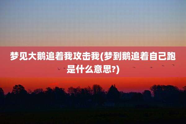 梦见大鹅追着我攻击我(梦到鹅追着自己跑是什么意思?)