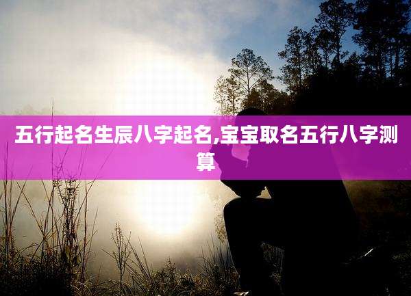 五行起名生辰八字起名,宝宝取名五行八字测算