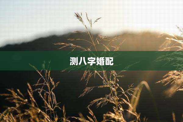测八字婚配