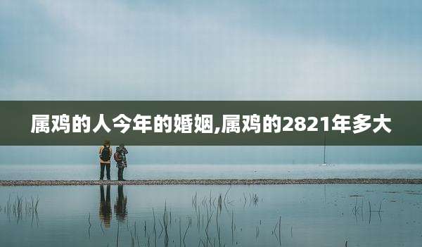 属鸡的人今年的婚姻,属鸡的2821年多大