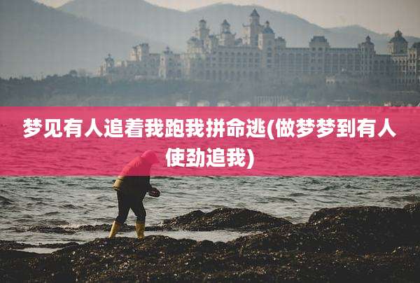 梦见有人追着我跑我拼命逃(做梦梦到有人使劲追我)