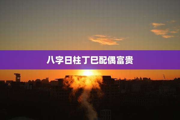 八字日柱丁巳配偶富贵