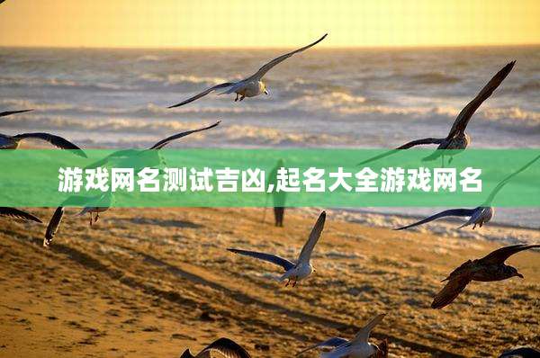 游戏网名测试吉凶,起名大全游戏网名