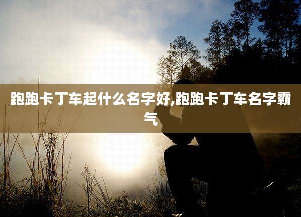 跑跑卡丁车起什么名字好,跑跑卡丁车名字霸气