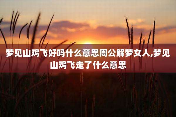 梦见山鸡飞好吗什么意思周公解梦女人,梦见山鸡飞走了什么意思