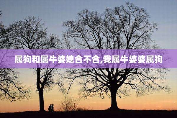 属狗和属牛婆媳合不合,我属牛婆婆属狗