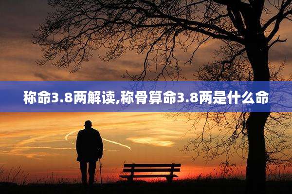 称命3.8两解读,称骨算命3.8两是什么命