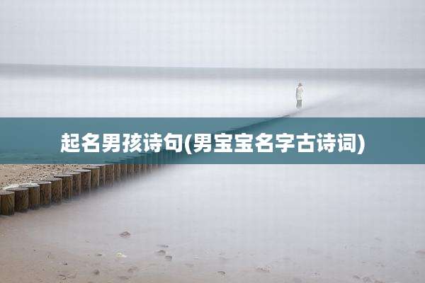 起名男孩诗句(男宝宝名字古诗词)