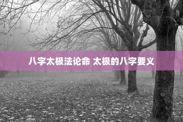 八字太极法论命 太极的八字要义