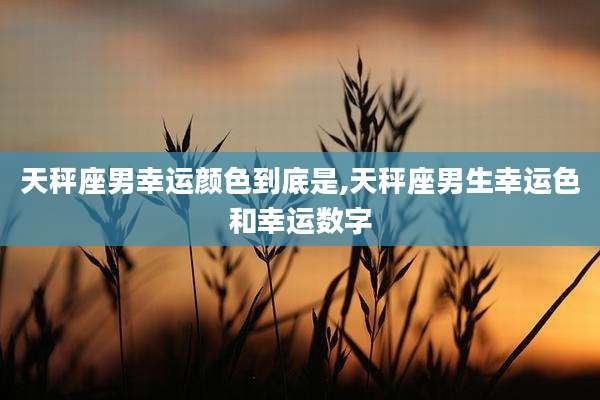 天秤座男幸运颜色到底是,天秤座男生幸运色和幸运数字