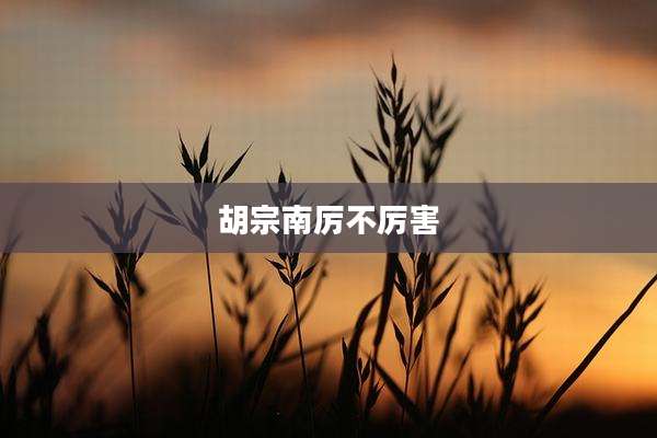 胡宗南厉不厉害