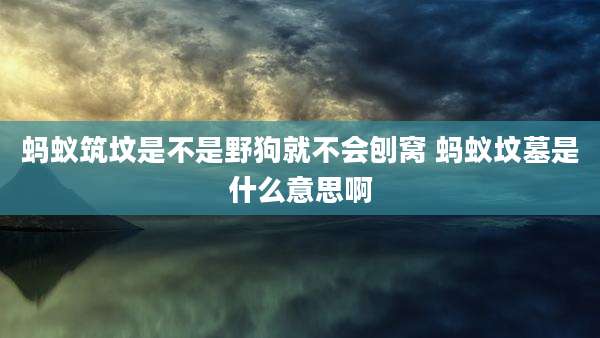 蚂蚁筑坟是不是野狗就不会刨窝 蚂蚁坟墓是什么意思啊
