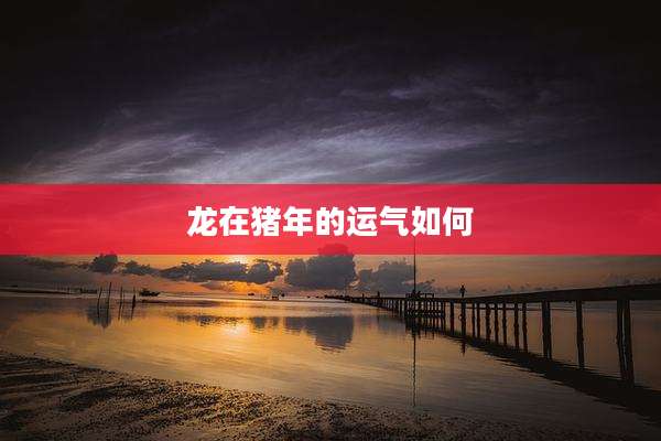 龙在猪年的运气如何
