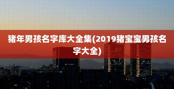 猪年男孩名字库大全集(2019猪宝宝男孩名字大全)