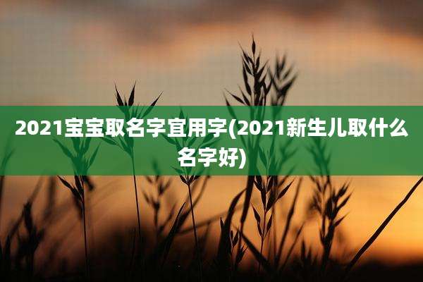 2021宝宝取名字宜用字(2021新生儿取什么名字好)