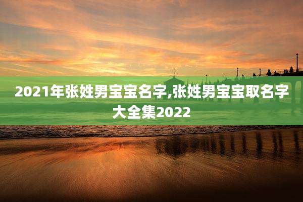 2021年张姓男宝宝名字,张姓男宝宝取名字大全集2022