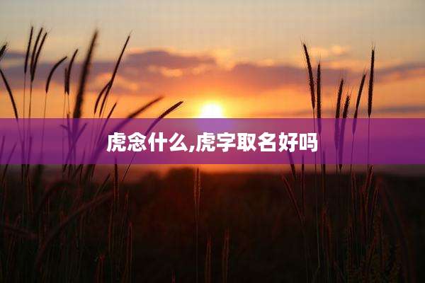 虎念什么,虎字取名好吗