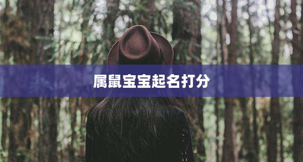 属鼠宝宝起名打分